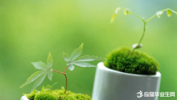 90条人生感悟，你是否也有同感