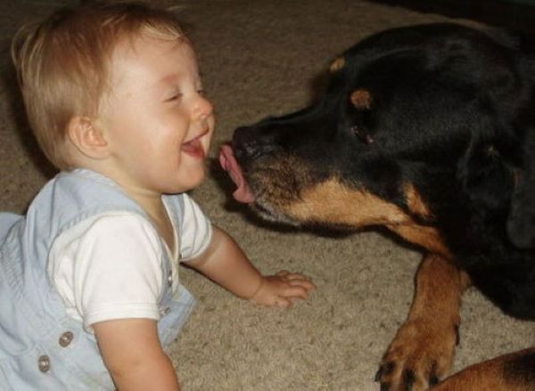 钟南山院士说养狗能增强免疫力,钟南山院士谈养宠物预防哮喘