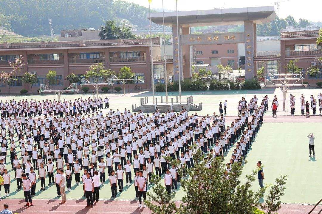 东莞比较好学校,东莞的五大名校选哪个最好