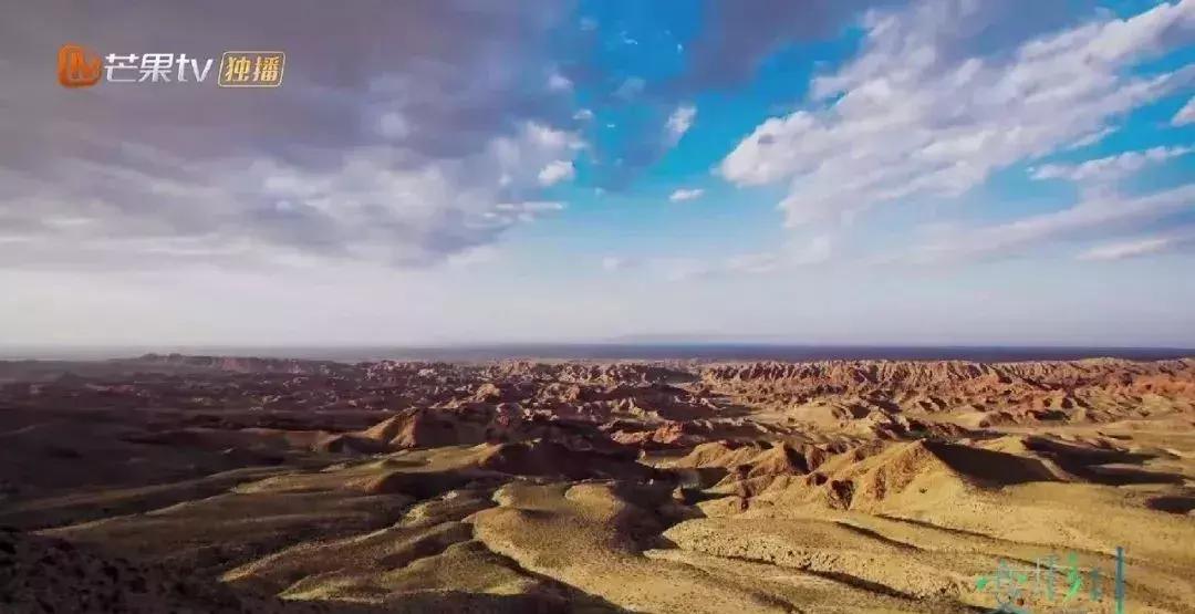 十九季变形计,变形计十九季有多少人变形