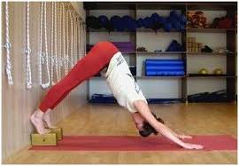 下犬式抬腿瘦腿,狗爬式减肥动作