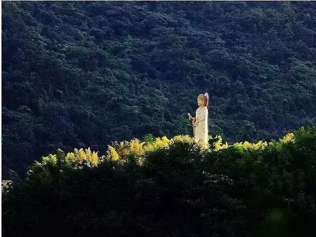 陕西省哪些市发展好,陕西各个县发展排名