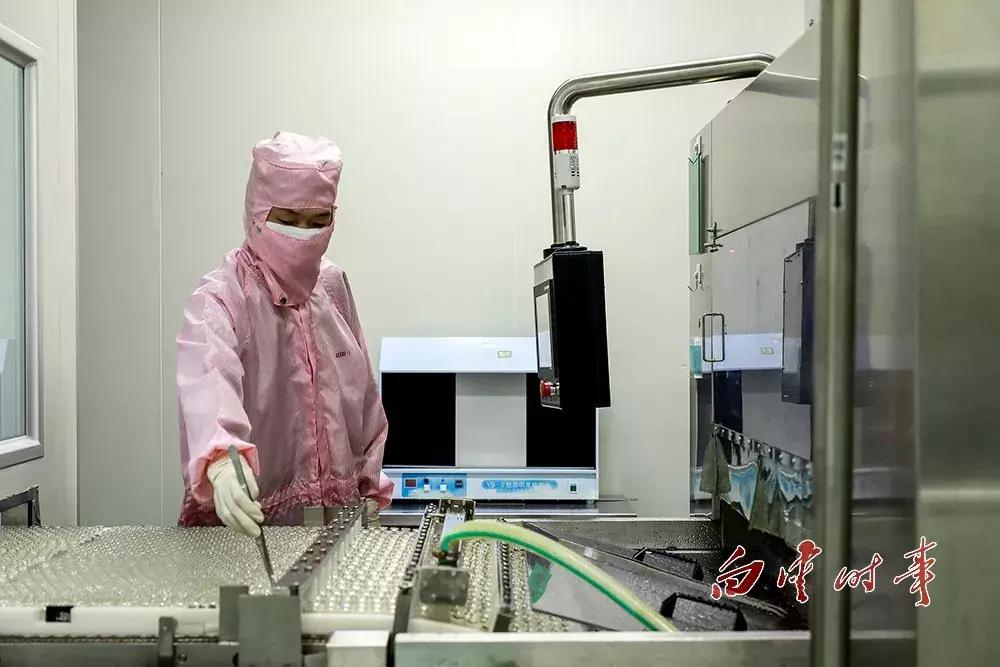 靠创新赚千万,白云山制药现状