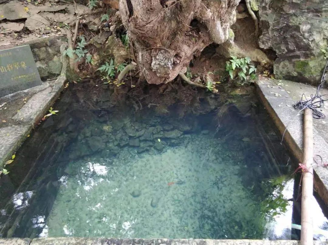 美丽鹅城,最美鹅城