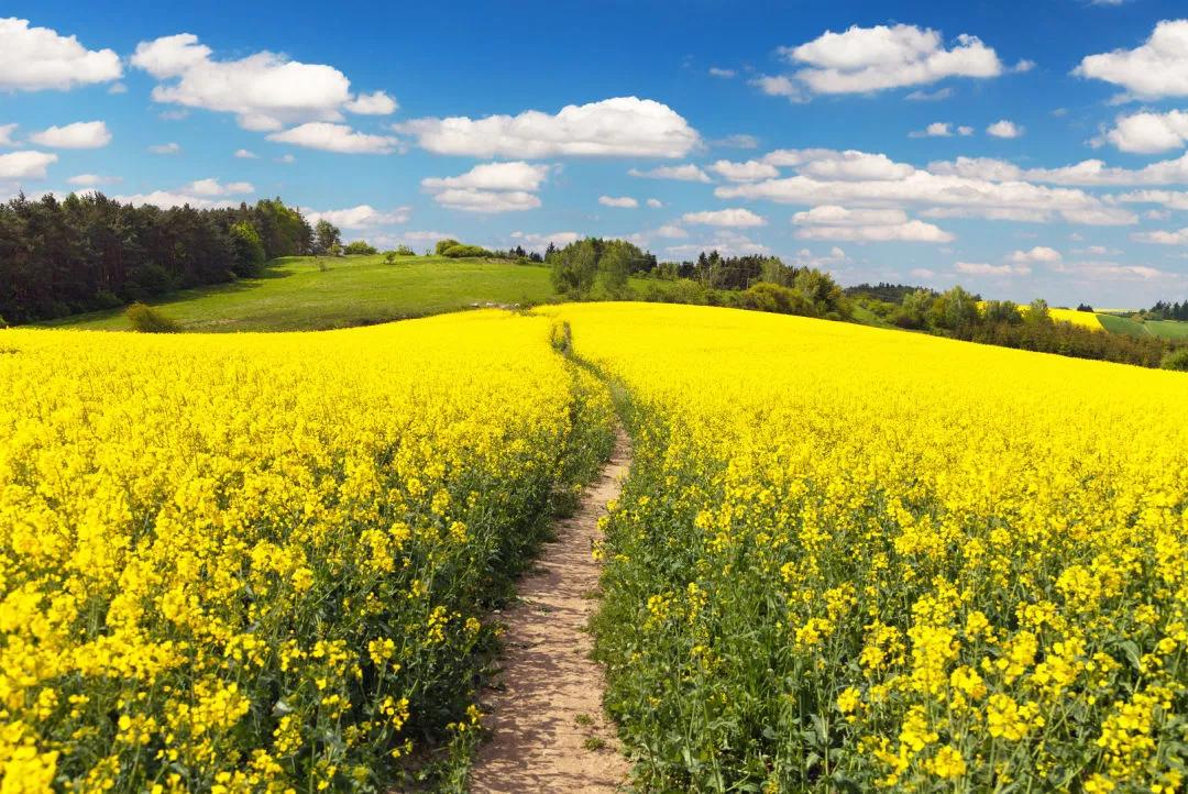 一副千年对联两句人生智慧,一年四季十个字对联