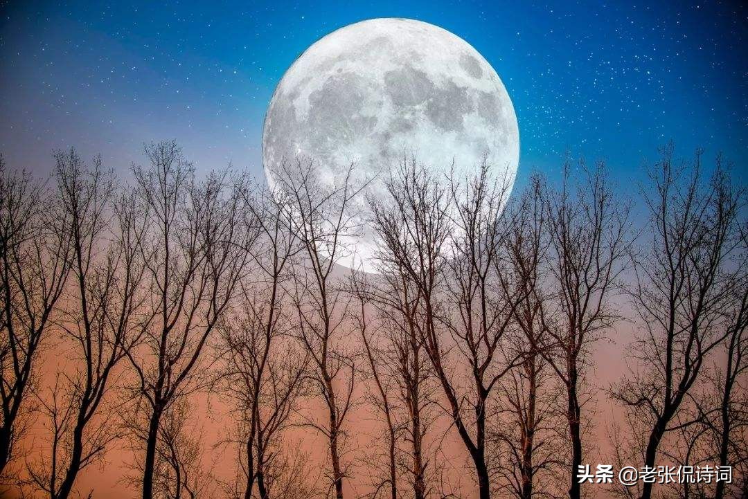 唐诗君不见黄河之水天上来,君不见黄河之水天上来全诗欣赏