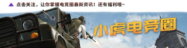 lol玩家自己开发的辅助软件,lol玩家开发娱乐模式