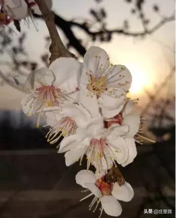 石家庄周边旅游一日游免费,石家庄周边一日游10月中旬