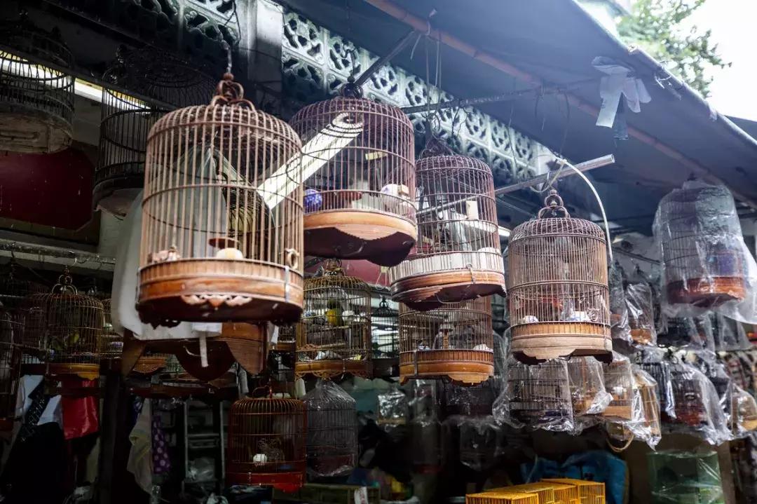 香港小众地点大全,香港最好逛的地方