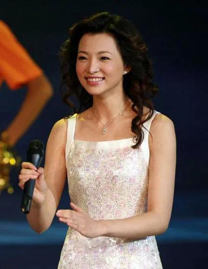 央视董卿有多美,央视女主持人董卿的图片