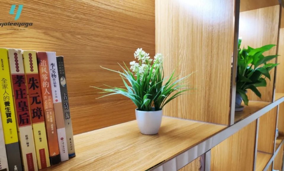 瑜伽提升自己气质的动作,瑜伽提升气质教程在家练