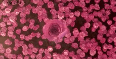 有一些照片p着p着就好看,照片可以p得有多好看