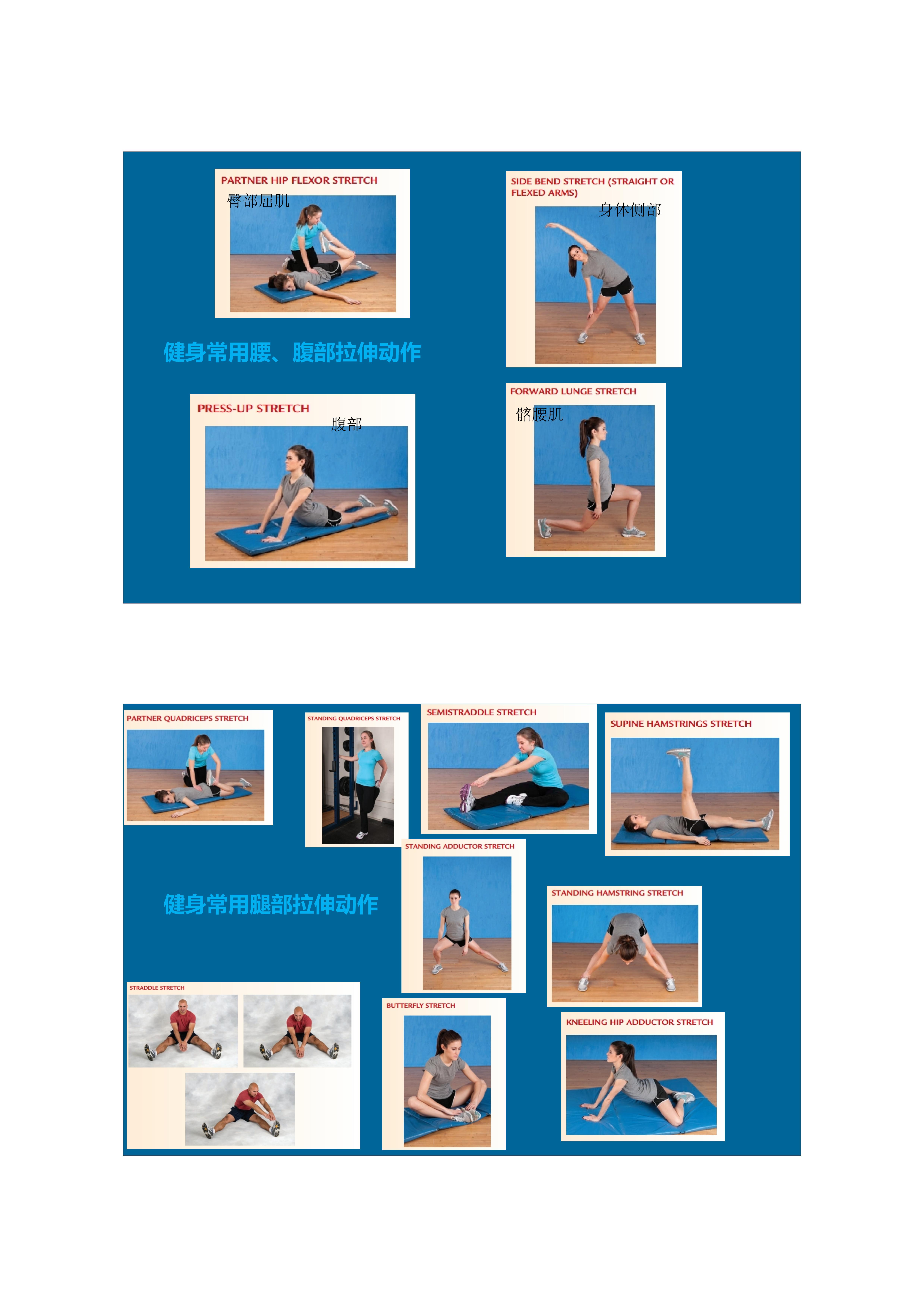 拉伸动态块制作技巧,泰式后背拉伸技巧视频