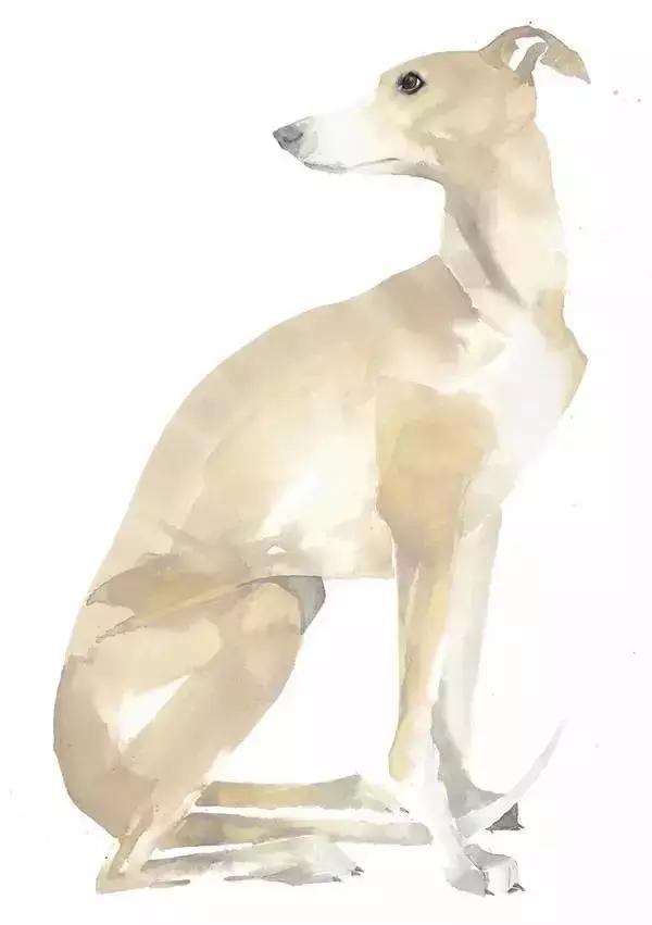 水彩大神之作,国外大师水彩值得一看