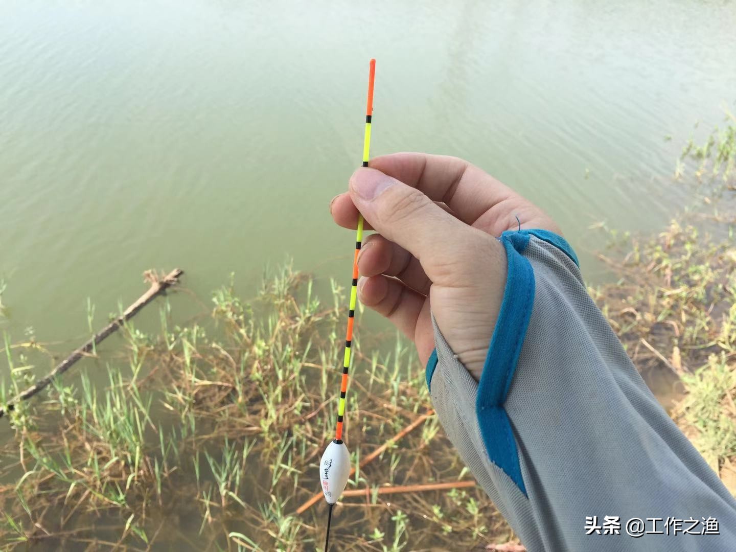 钓鱼双尾技巧,钓鱼双飞寓意