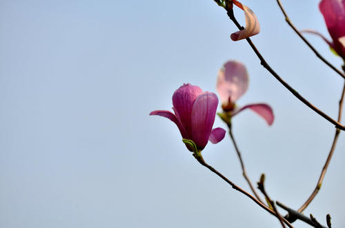 双减工作落地生效,双减落地显成效