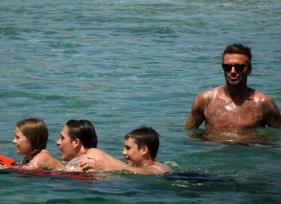 小七变胖了,小七胖成啥样了