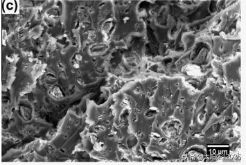 三聚氰胺纤维金雨薇学习翻译