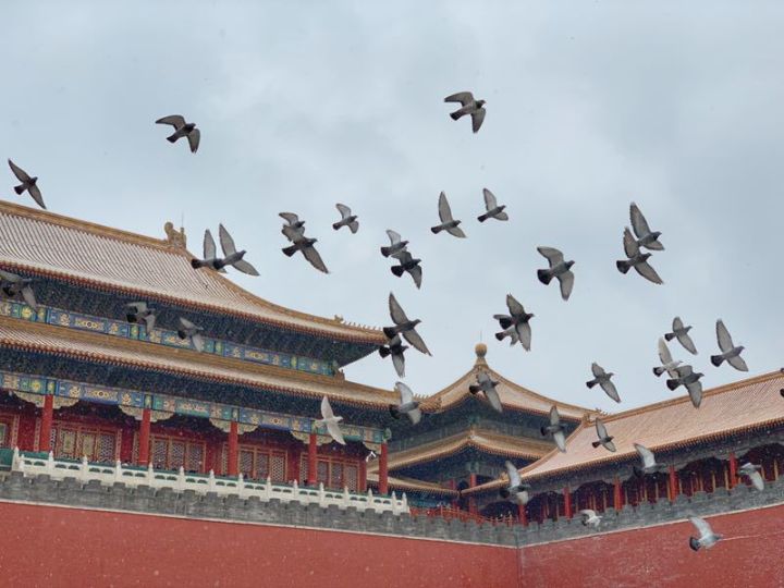 我从工作到创业的点滴,我从打工到创业的经历