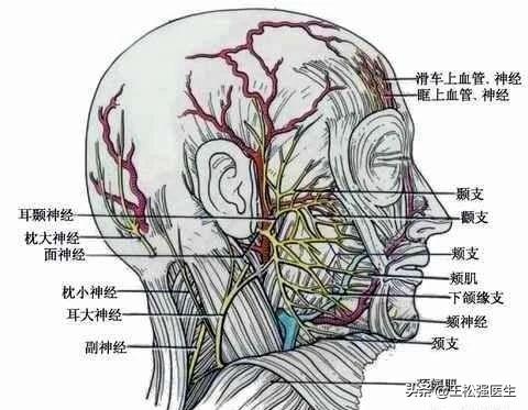 面肌痉挛自我恢复方法,面肌痉挛按摩手法教程