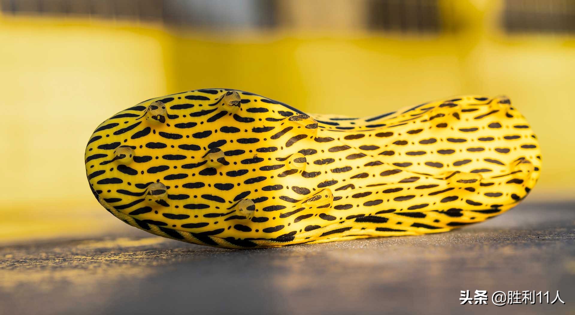 puma彪马足球鞋ultra系列熊猫,puma最新足球鞋