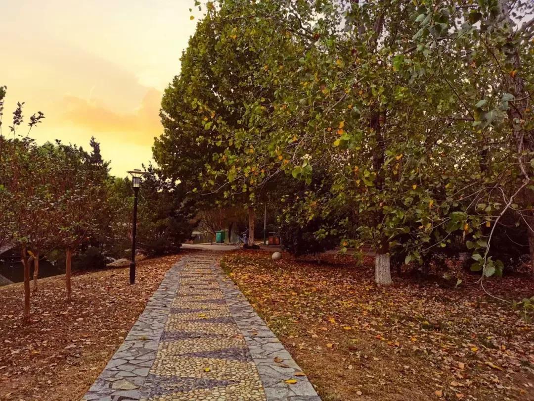 安徽13所一本大学名单,安徽省高校简介