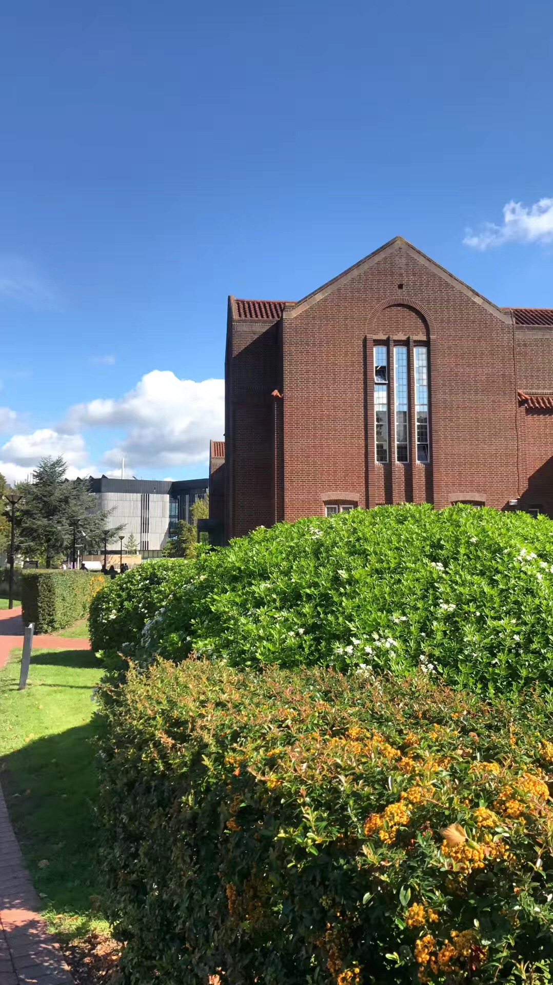 南安普顿大学世界排名,南安普顿大学申请条件