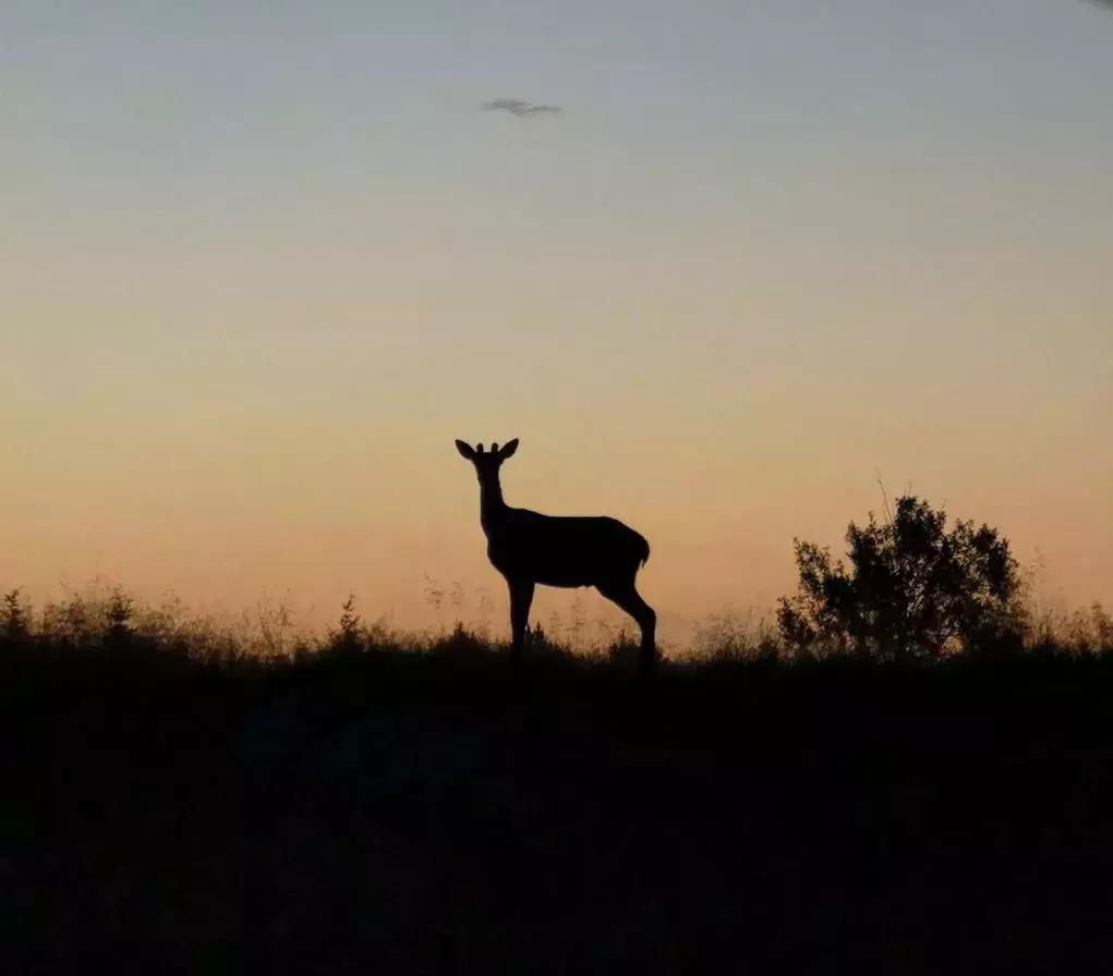 华为新影像大赛9张图,2019华为新影像大赛