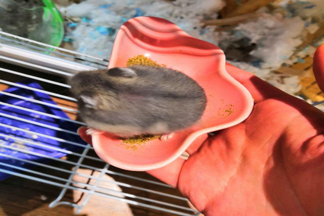 璋冪毊鎹ｈ泲浠撻紶,璋冪毊浠撻紶