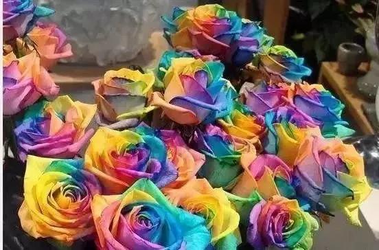 化学理科生的浪漫,化学理科生的浪漫情书