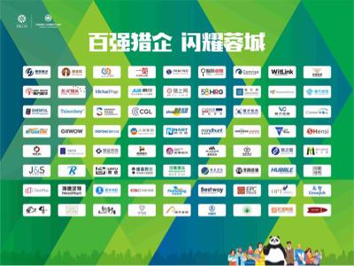 蓉漂人才日青年人才大型招聘会,蓉漂人才计划