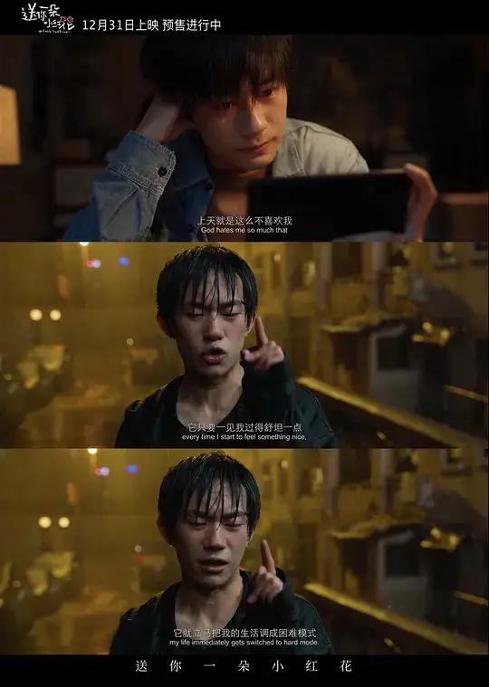 送你一朵小红花的评分,送你一朵小红花评分算高吗