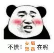 假牌照被抓怎么处罚,严打假牌处罚标准