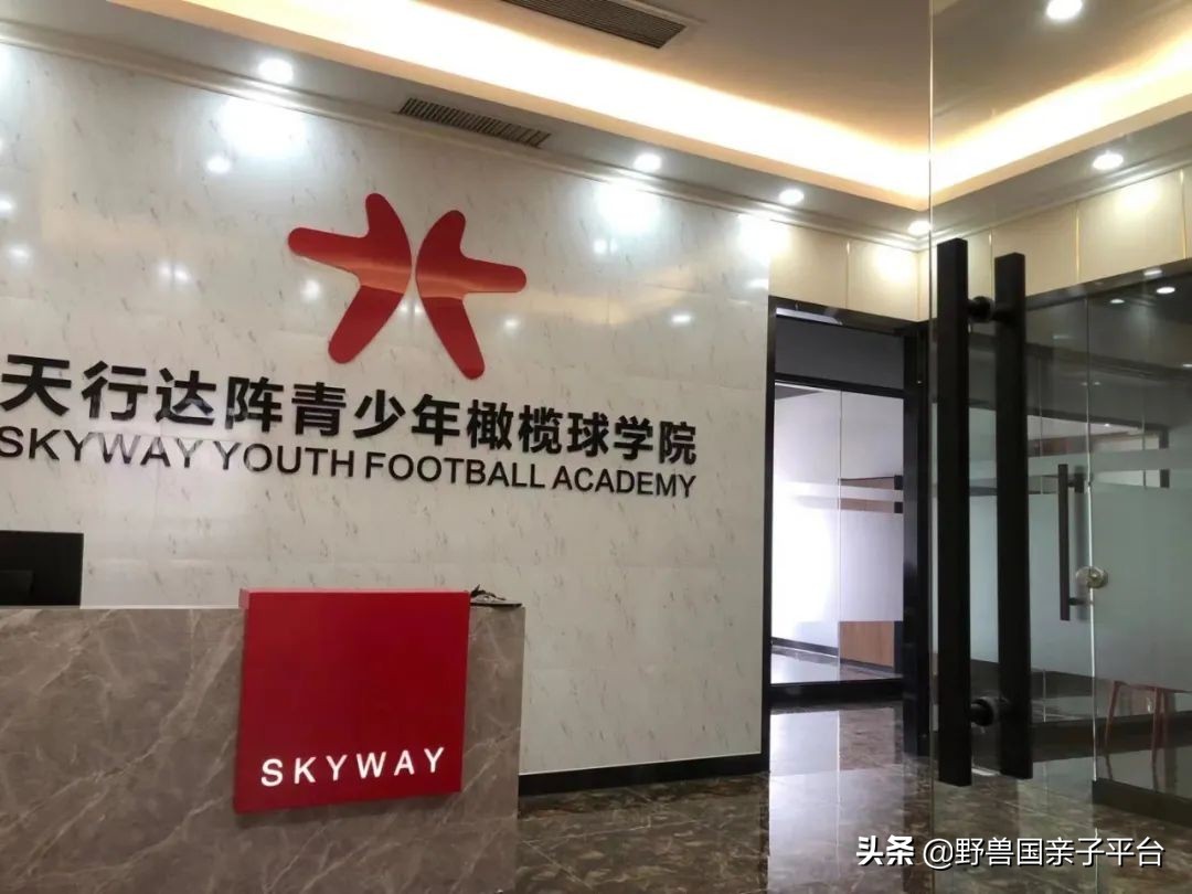 东莞儿童篮球培训机构哪个好,东莞儿童健身球哪家好