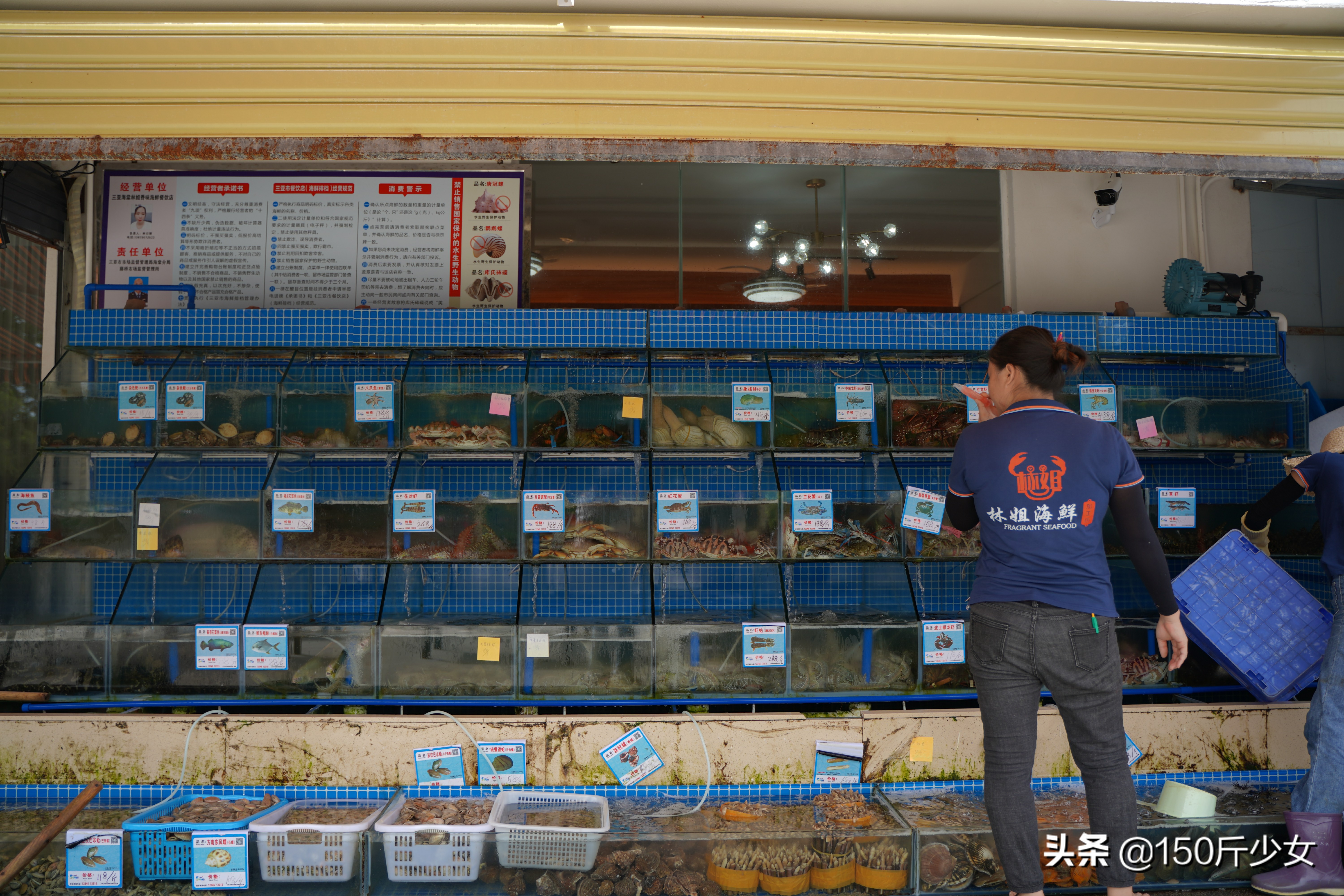 想念三亚的阳光和沙滩海浪,三亚期盼已久的大海