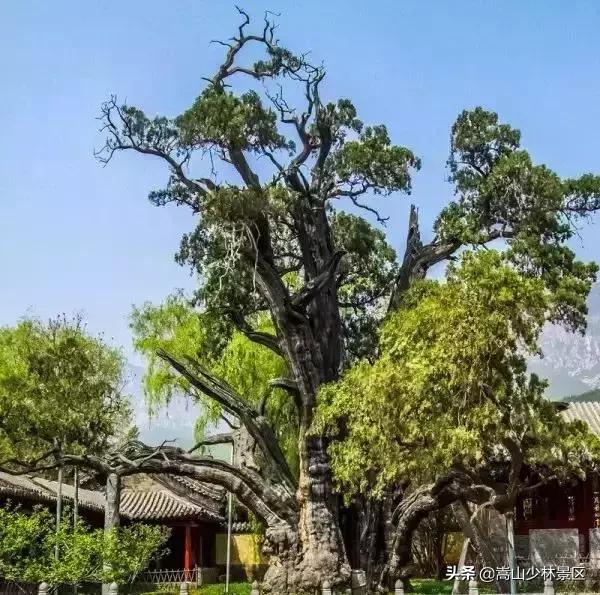 嵩山少林寺到底在哪里呢,嵩山真正的少林寺