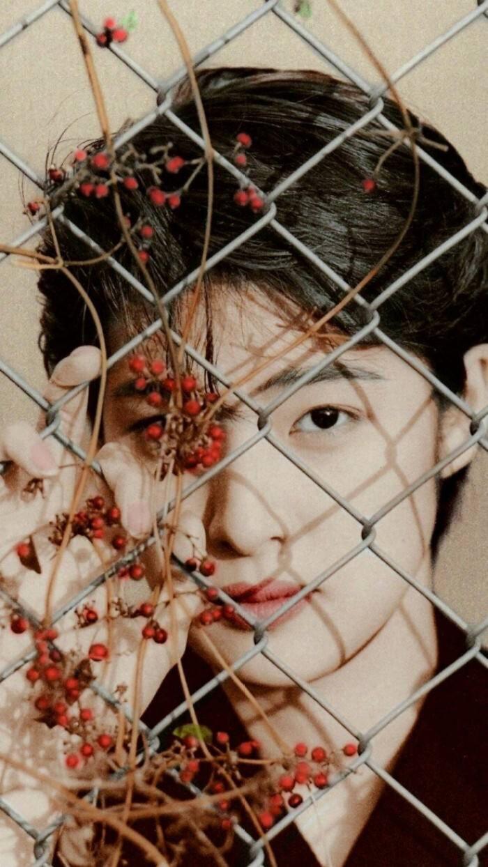 50后女神林青霞,66岁的林青霞状态真好