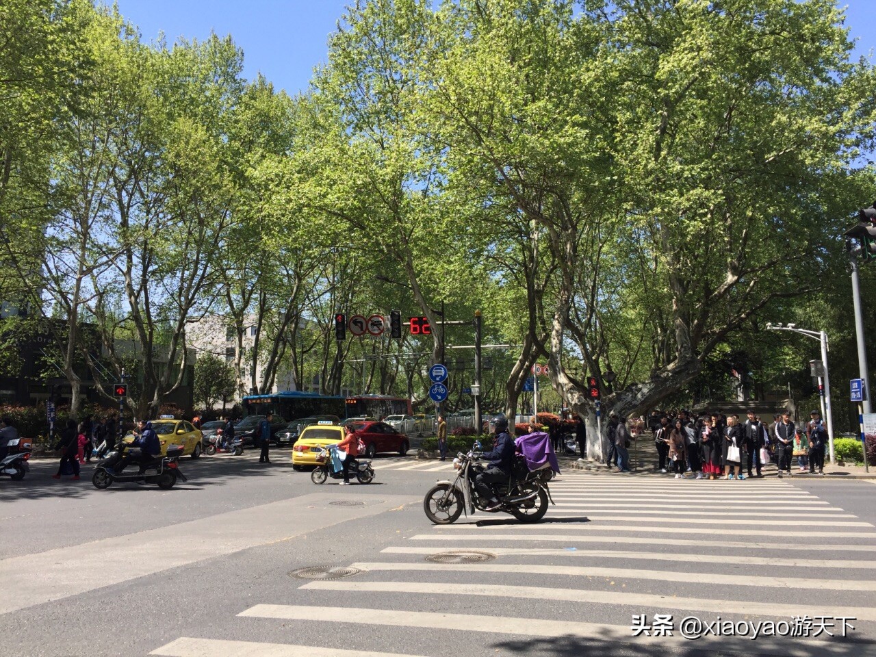 南京一条中山路半部民国史,行走南京1-100公里