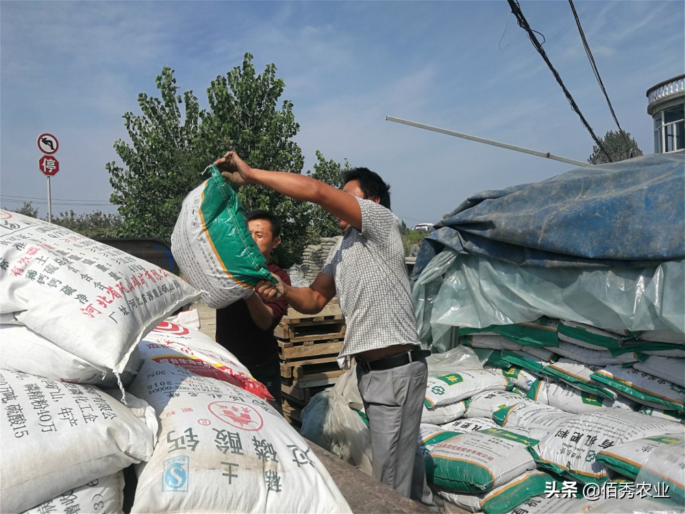 一亩地搞种植业可以赚多少钱,农村农业种植业哪种能赚钱
