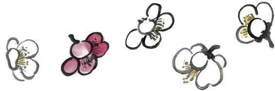 零基础梅花花朵入门画法,零基础学国画梅花入门步骤