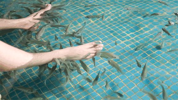 苏州乐园四季恒温水乐园预约,苏州乐园四季悦水游村