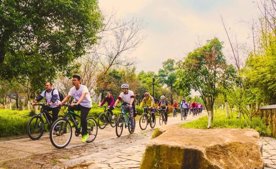 杭州适合网红拍照的地方,杭州真美高清图