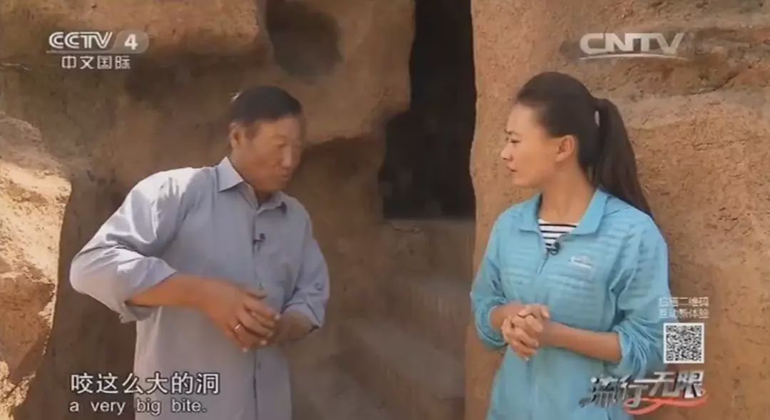 养狼disco：我在*疆新**，把狼养成了哈士奇