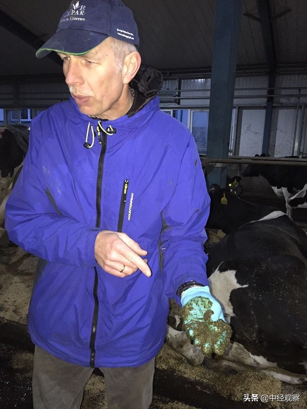 红星乳业集团有机牛奶,红星乳业2019年