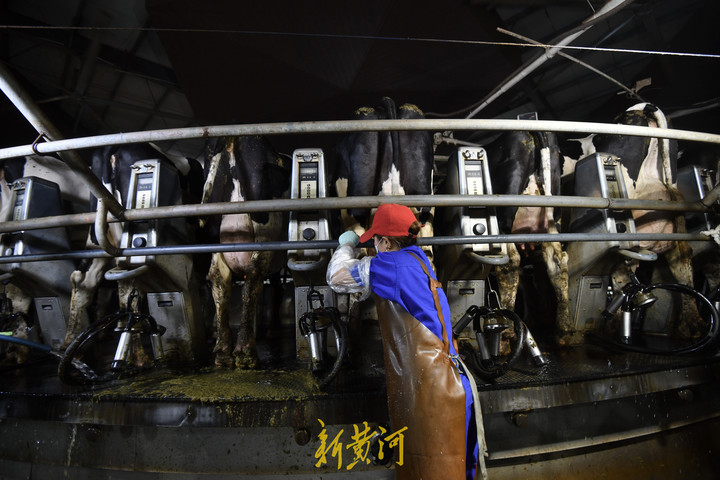 现实中的曹县和网上的曹县,菏泽曹县的变化