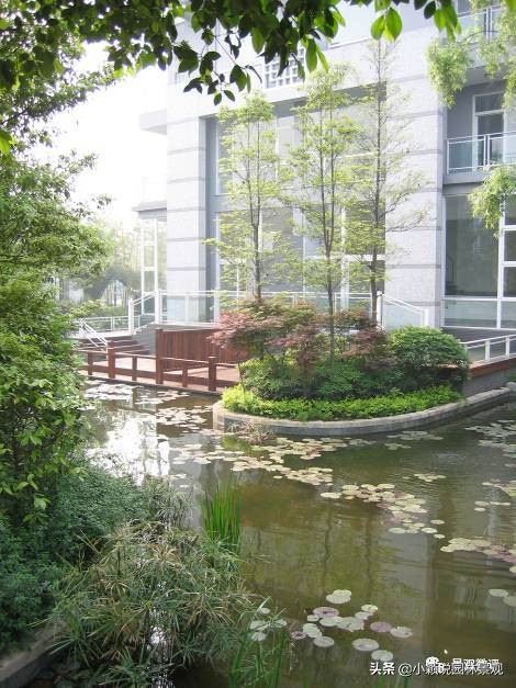 住宅小区植物配置方案,植物种植小技巧一览表图