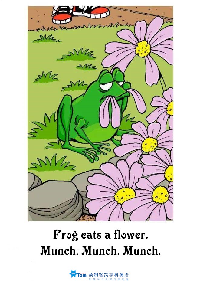 tom猫讲故事,tom讲口才