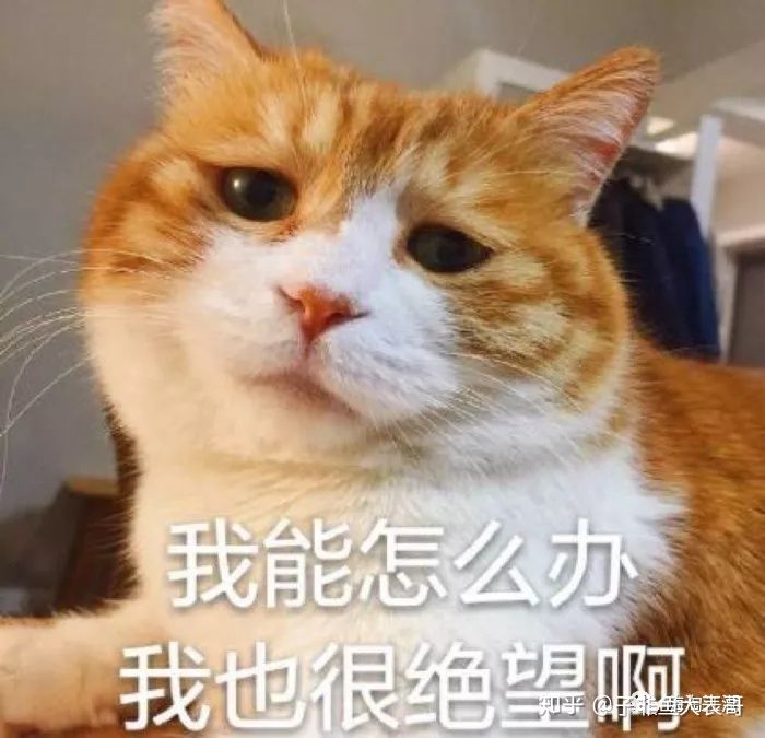 九个角度图解大全,10个角度摸清竞品