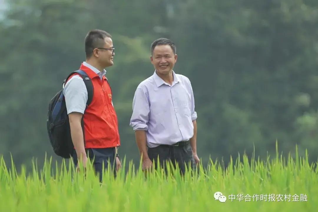 农村普惠金融的实践与思考,福建农信乡村振兴十大行动