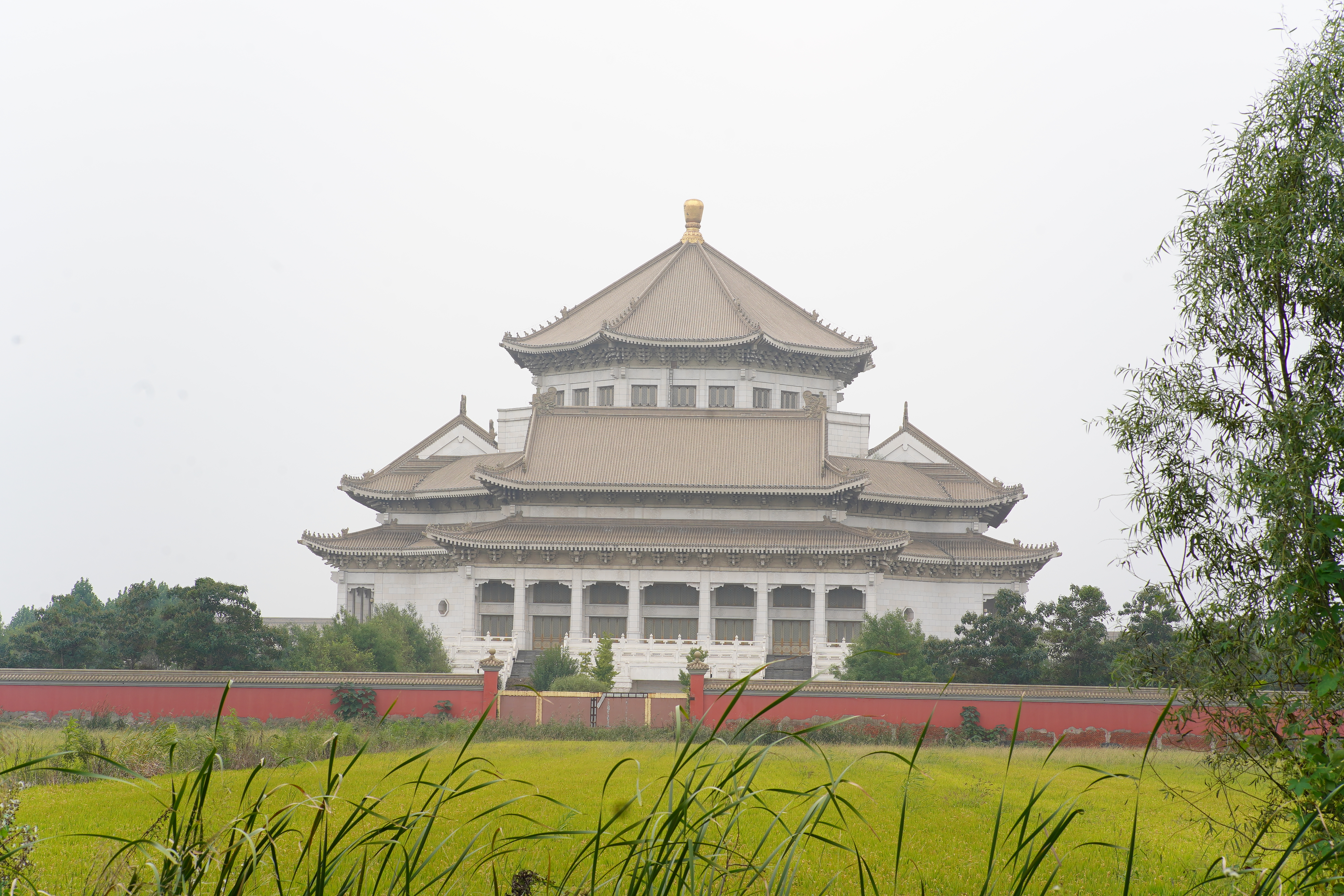 瀹濆澔浜触鏂板煄涓轰粈涔堟槸楝煎煄,瀹濆澔浜触鏂板煄杩樻槸楝煎煄